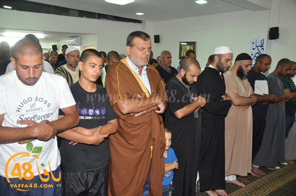 mohamed elfatekh3 (15).JPG